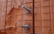 DETAIL162572